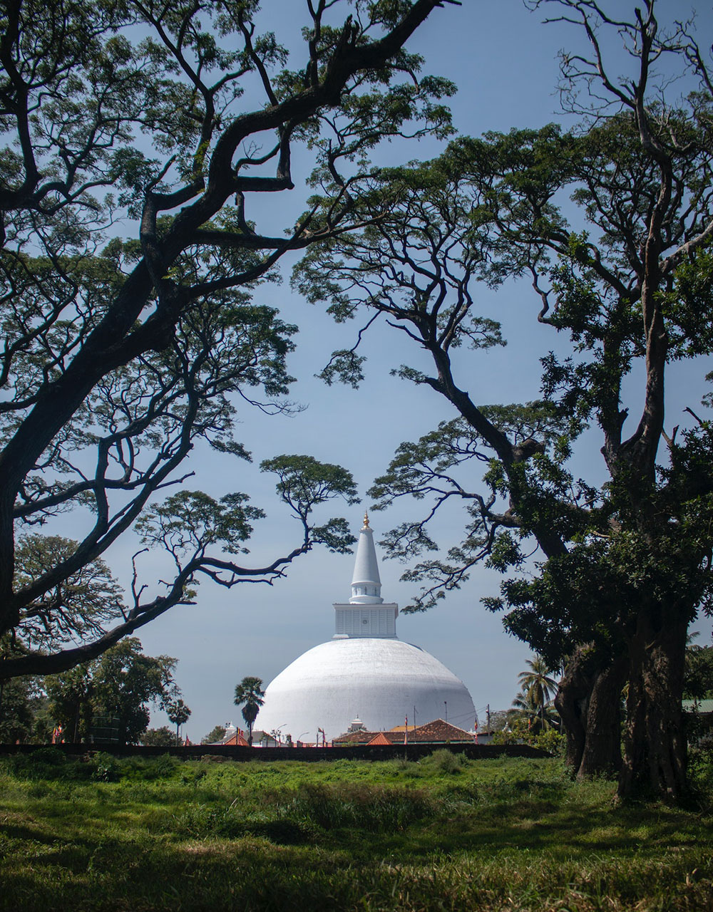 Anuradhapura