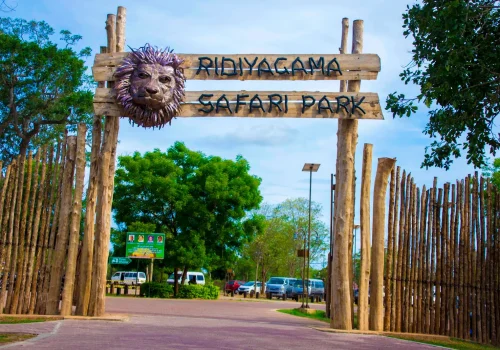 Ridiyagama Safari Park